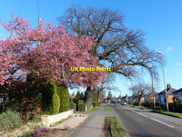 Photo 6"x4" Cropston Road in Anstey Anstey\/SK5408 c2014