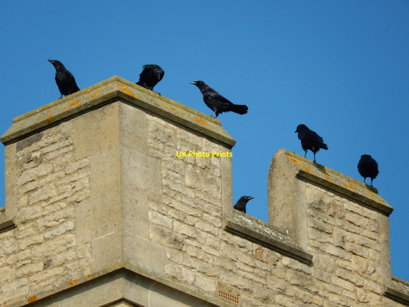 Photo 6"x4" Crows on the church tower Milton Keynes c2015