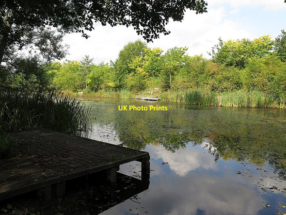 Photo 6"x4" Throckley or Reigh Pond Ryton\/NZ1564 c2015