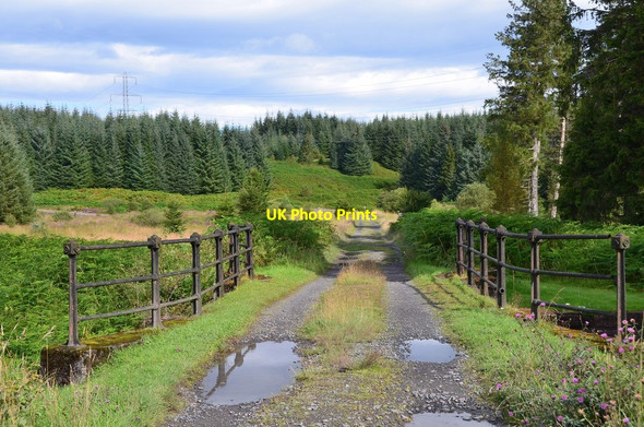 Photo 6"x4" Track crossing the Kelty Water Dalmary c2015