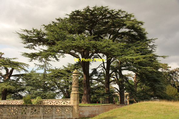 Photo 6"x4" Charlecote Park Charlecote c2015