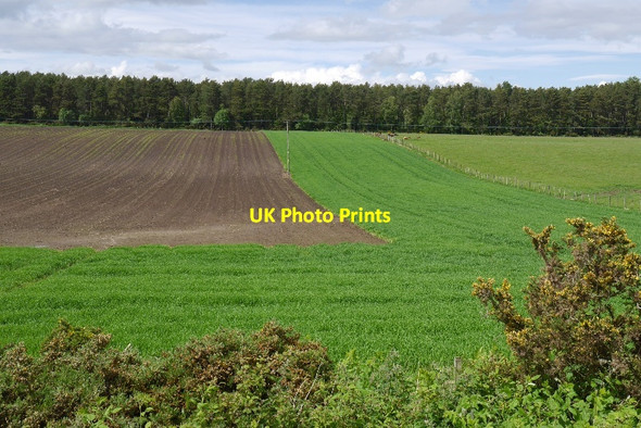 Photo 6"x4" Field near Bogallan Croftnacriech c2015