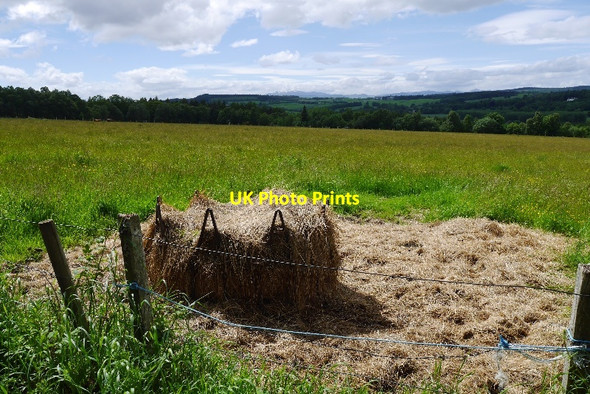 Photo 6"x4" Field, Istiane Bogallan c2015