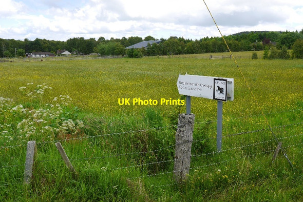 Photo 6"x4" Hay field, Drumsmittal Bogallan c2015