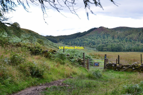 Photo 6"x4" Forest gate below the Menteith Hills Port of Menteith c2015