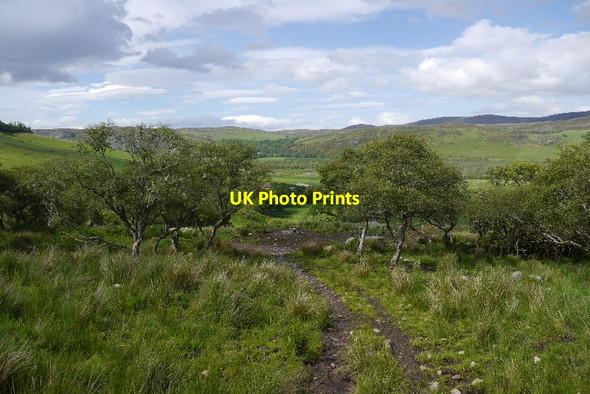 Photo 6"x4" Track, Little Torboll Little Torboll c2015