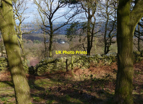 Photo 6"x4" View north from Beacon Hill Woodhouse Eaves c2014