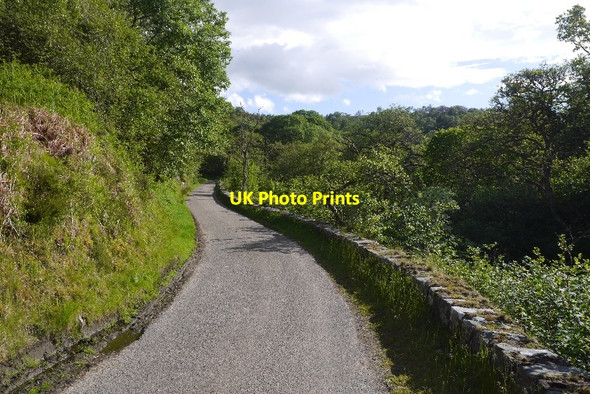 Photo 6"x4" Loch Buidhe road, Torboll Little Torboll c2015