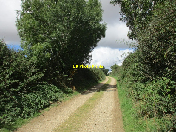 Photo 6"x4" Muston Lane Anderson c2015