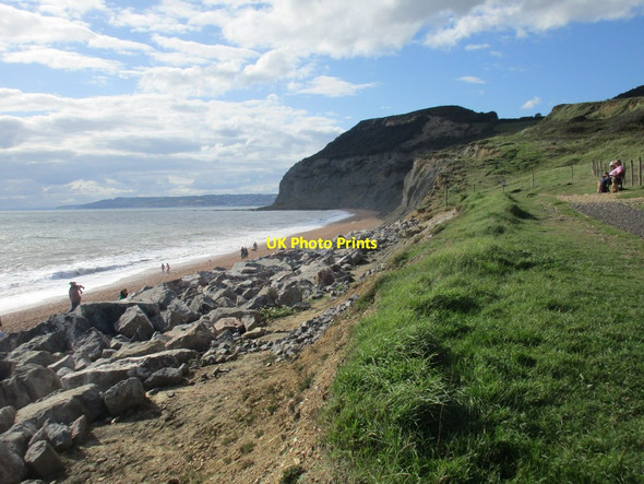 Photo 6"x4" Golden Cap and the West Dorset Coast Seatown\/SY4291 c2015