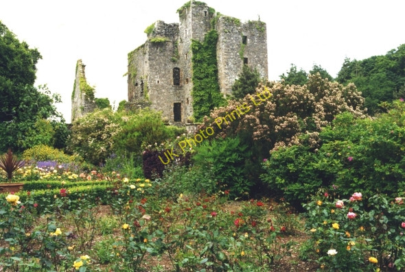 Photo 6"x4" Castle Kennedy Gardens Castle Kennedy\/NX1059 c1999