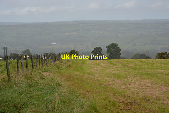 Photo 6"x4" Field above Llanllwni Llanllwni c2015
