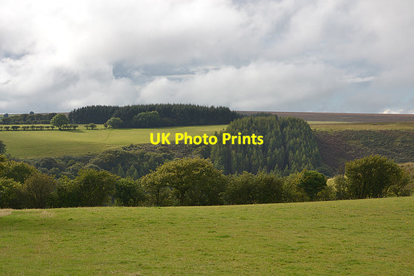 Photo 6"x4" Fields and forestry above the Nenog valley Gwernogle c2015