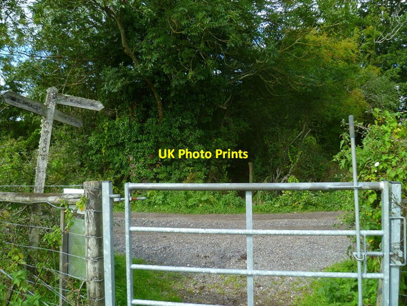 Photo 6"x4" Bridleway and path junction west of Moor's Head Ashurst\/TQ1716 c2015