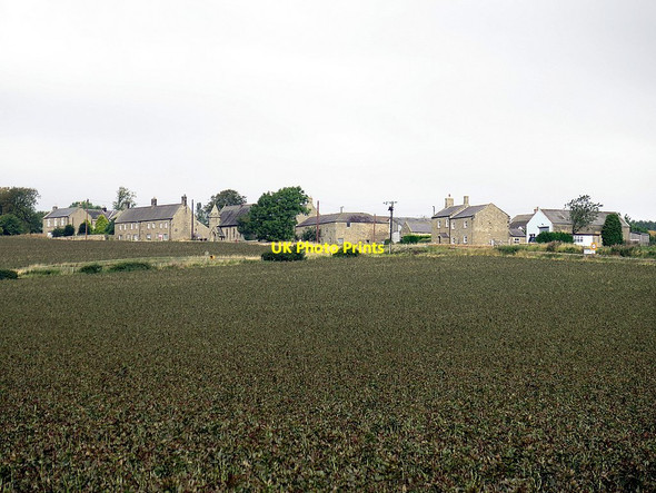 Photo 6"x4" Field Beans near Harlow Hill Harlow Hill\/NZ0768 c2015