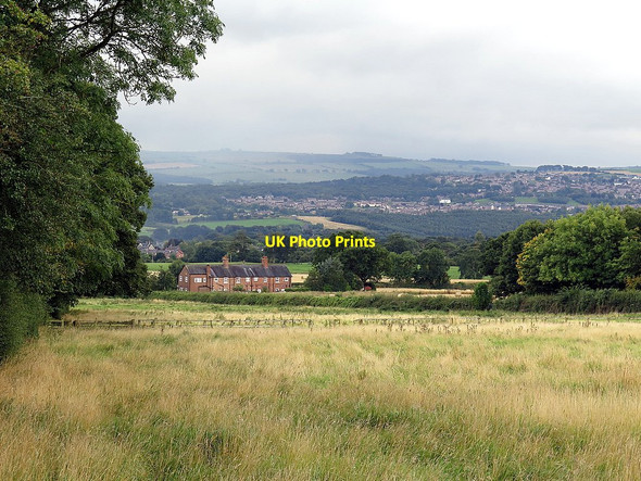 Photo 6"x4" Fields west of Close House Houghton\/NZ1266 c2015