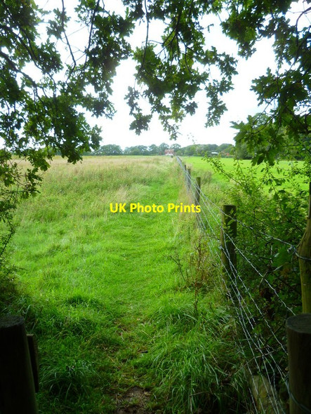 Photo 6"x4" Path going west from Tall Wood to Brownhill Hole Street c2015