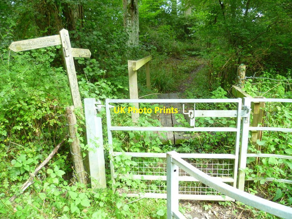 Photo 6"x4" Footbridge enters woodland strip Ashington\/TQ1316 c2015