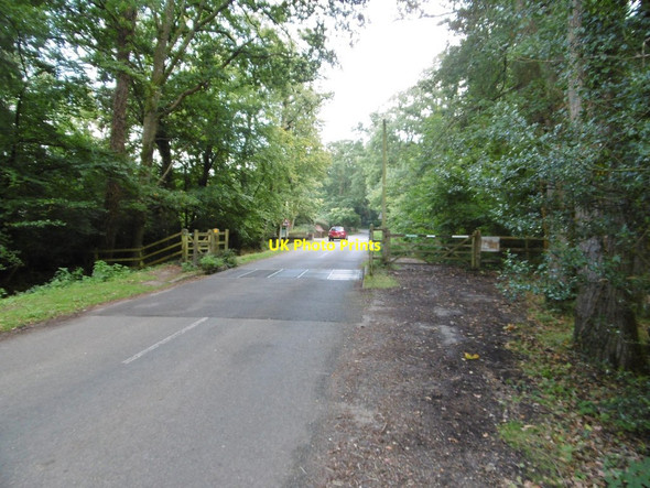 Photo 6"x4" Woodlands, cattle grid Ashurst\/SU3310 c2015