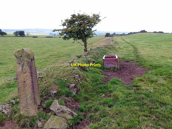 Photo 6"x4" Old boundary on Horsley Hill Horsley\/NZ0966 c2015