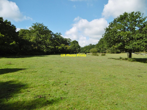 Photo 6"x4" Busketts Lawn Woodlands\/SU3211 c2015