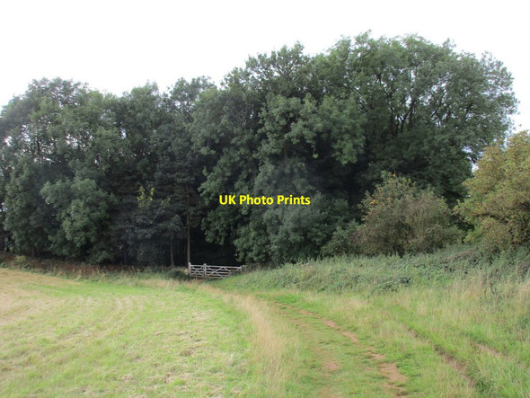 Photo 6"x4" Footpath descending towards the Warren Bredon's Norton c2015