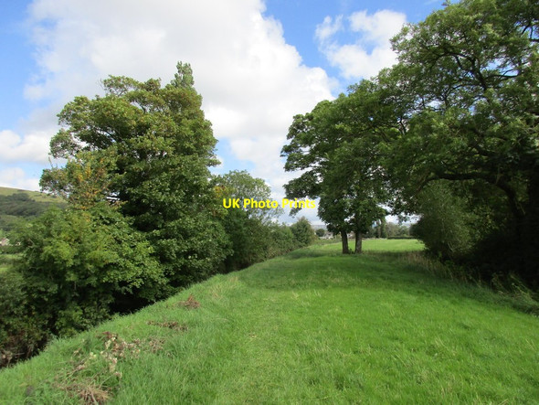 Photo 6"x4" Footpath alongside the Cheddar Yeo Cross\/ST4154 c2015