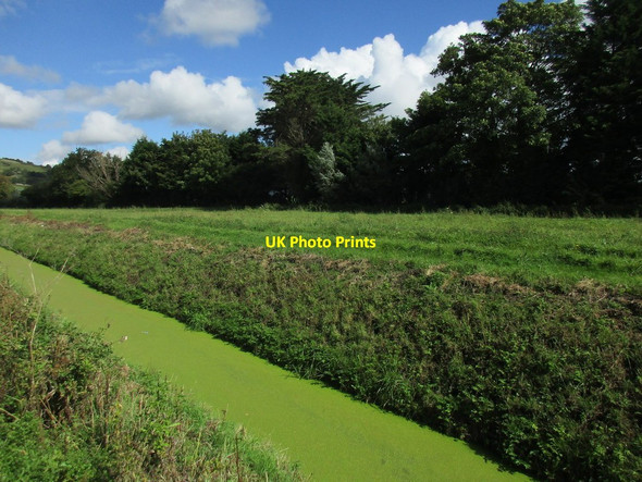 Photo 6"x4" Duckweed covered drain Lower Weare c2015