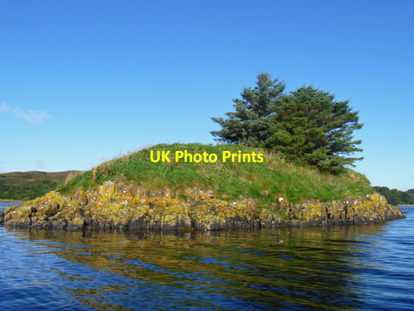Photo 6"x4" Eilean Ard Park Bernisdale c2015