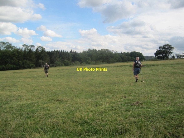 Photo 6"x4" Footpath towards Birsley Wood Edlingham c2015