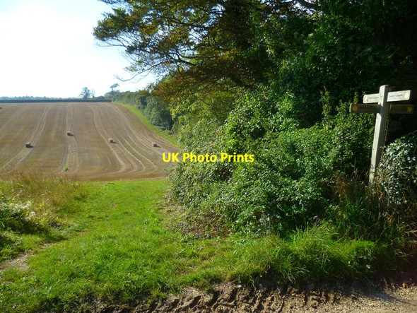 Photo 6"x4" Looking west on footpath crossing valley Hammerpot c2015