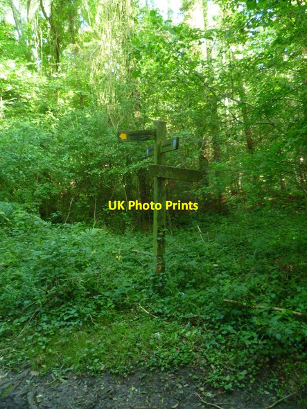 Photo 6"x4" Signpost at track crossing Hammerpot c2015
