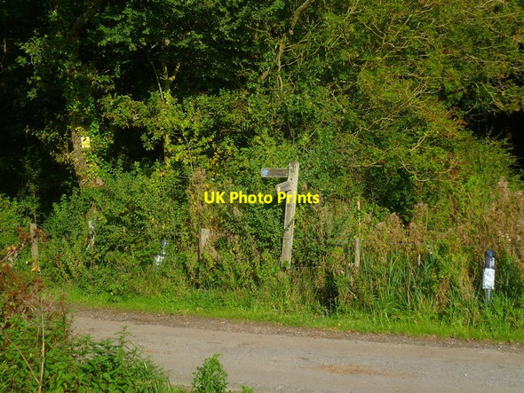 Photo 6"x4" Footpath arrives at Swillage Lane Hammerpot c2015