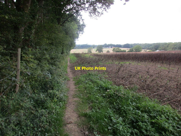Photo 6"x4" Footpath alongside Littlehunts Coppice Furzeley Corner c2015
