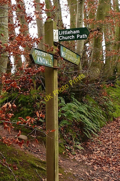 Photo 6"x4" Littleham church path Budleigh Salterton c2009