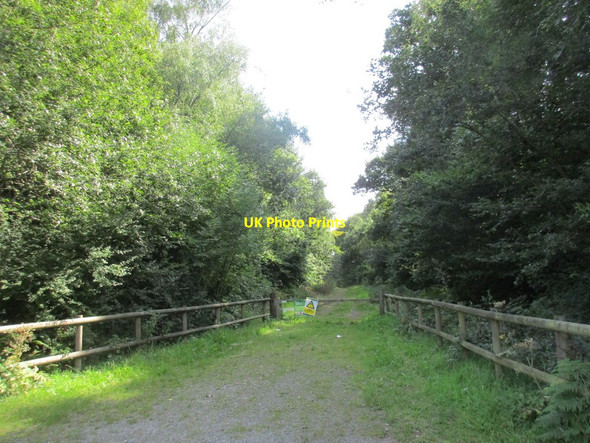 Photo 6"x4" Track into West Walk Kingsmead\/SU5813 c2015