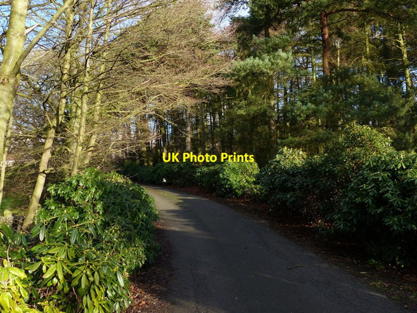 Photo 6"x4" Slate Pit Lane in Groby Newtown Linford\/SK5109 c2014