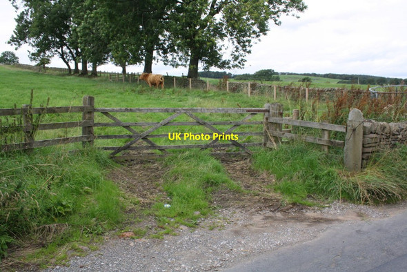 Photo 6"x4" Gateway from minor road to field under Lingber Hill Otterburn\/SD8857 c2015