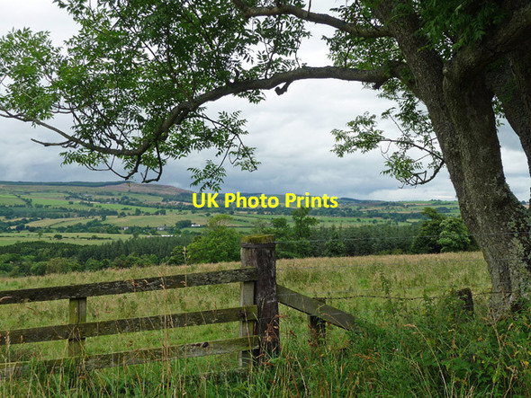 Photo 6"x4" Farmland near Wingates (1) Healey Cote c2012