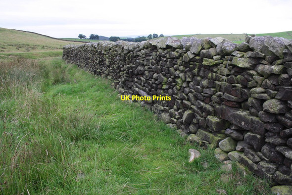 Photo 6"x4" Looking along dry stone wall towards Skell Holmes Top Hellifield c2015