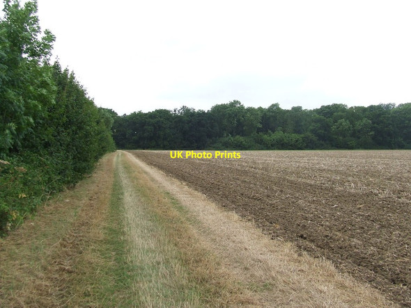 Photo 6"x4" Footpath To Park Wood Frinkle Green c2015