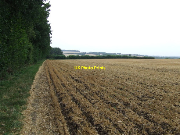 Photo 6"x4" Footpath And Field Boundary Birdbrook c2015