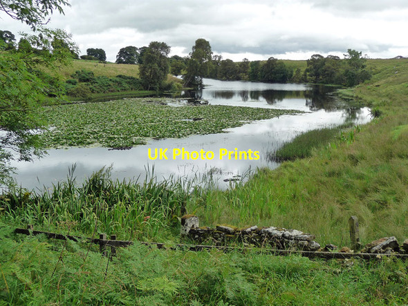 Photo 6"x4" Rothley Lakes, Rothley Shield East (1) Longwitton c2012