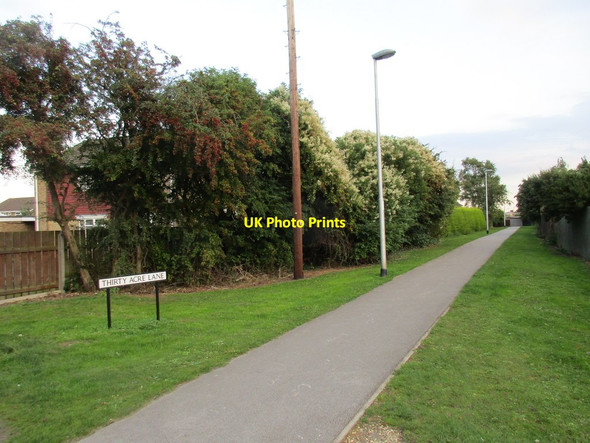 Photo 6"x4" Thirty Acre Lane Hedon c2015