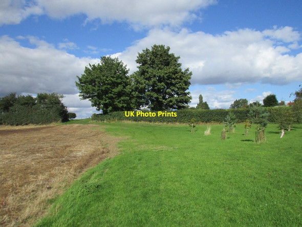Photo 6"x4" Footpath and recently planted trees, Old Ellerby Old Ellerby c2015