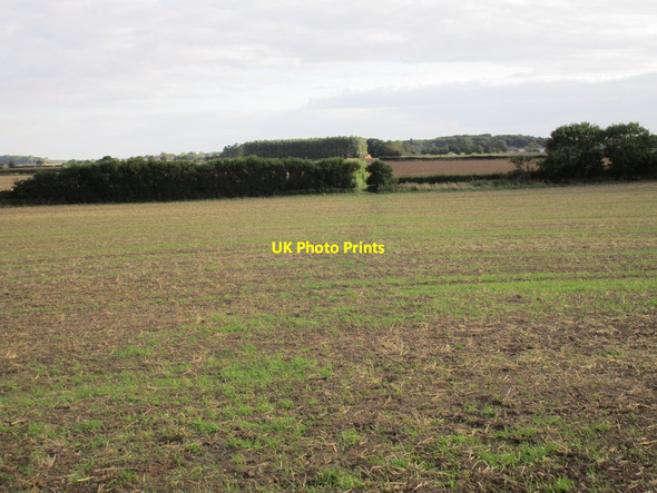 Photo 6"x4" Unmarked bridleway Rise\/TA1542 c2015