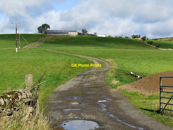 Photo 6"x4" Track to Highside Farm Halton Lea Gate c2015