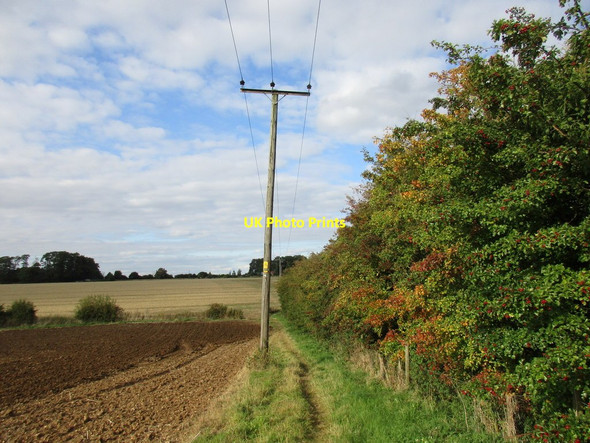 Photo 6"x4" Bridleway at Wilsic Wilsic c2015