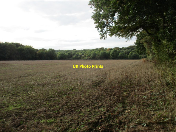 Photo 6"x4" Field by the motorway Wadworth c2015
