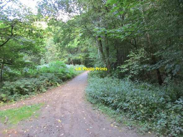 Photo 6"x4" Footpath to Wadworth Wadworth c2015